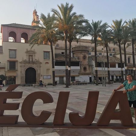 Отель La Casa En El Centro Эсиха Экстерьер фото